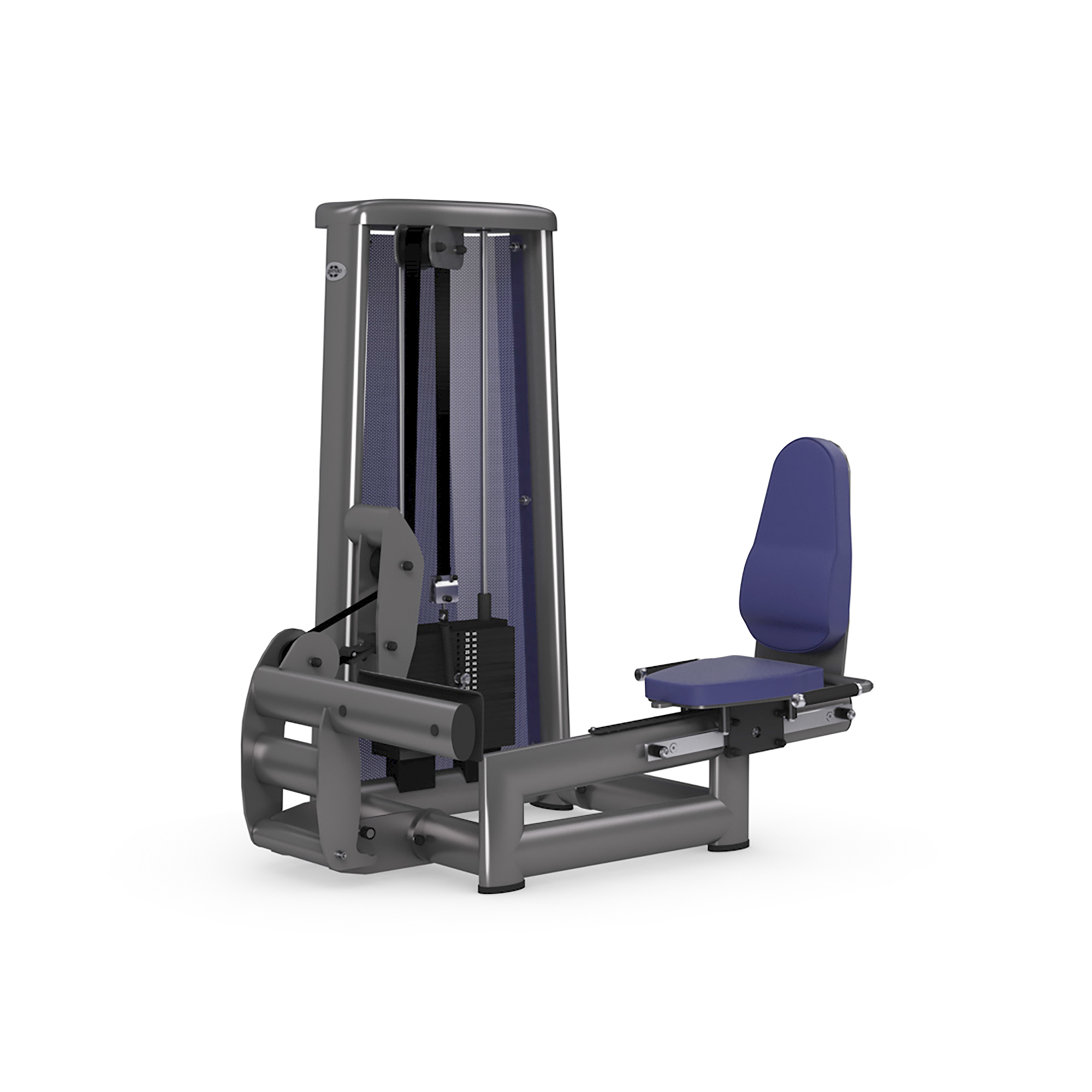 Brug gym80 Sygnum Seated Calf til en forbedret oplevelse