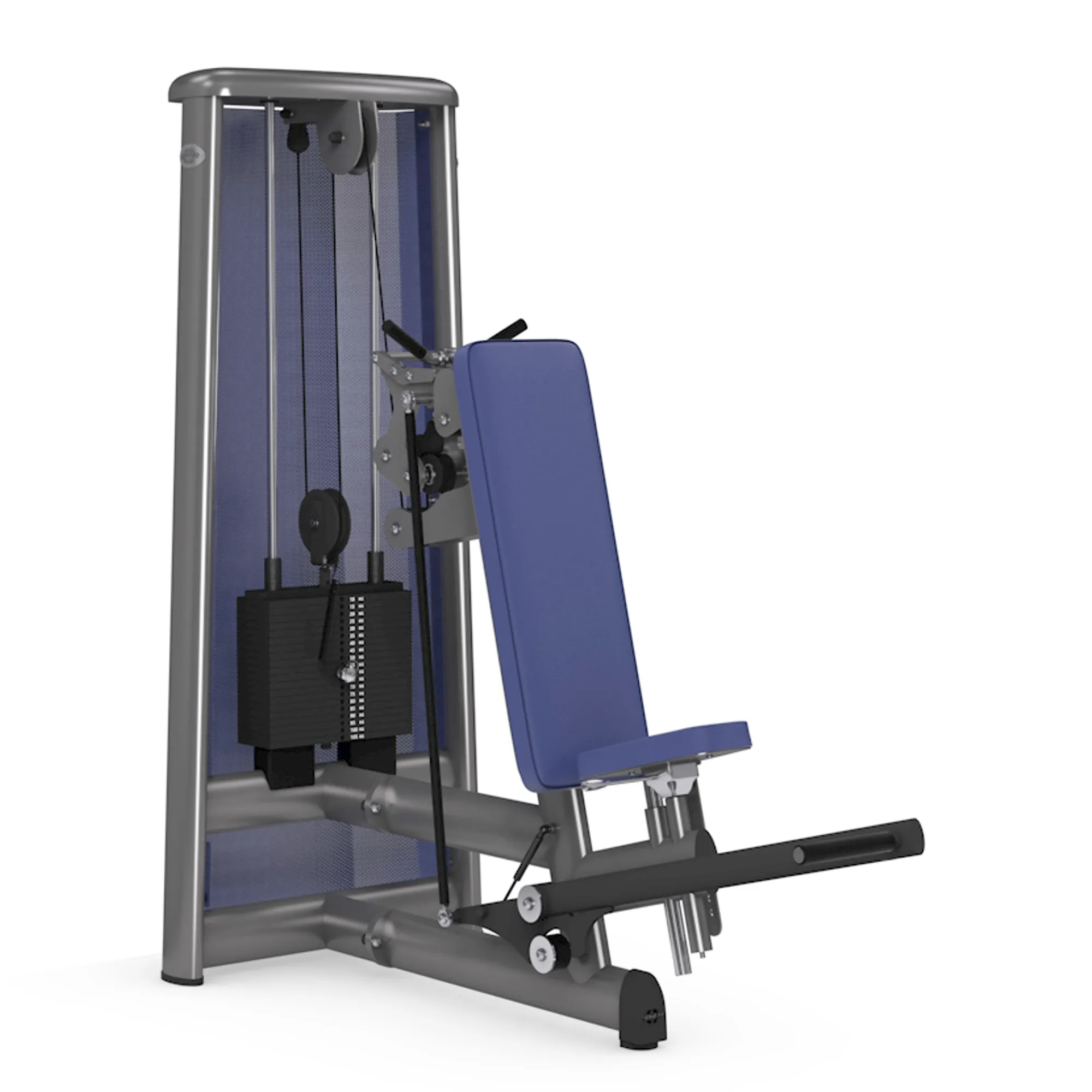 Brug gym80 Sygnum Triceps Overhead Press til en forbedret oplevelse