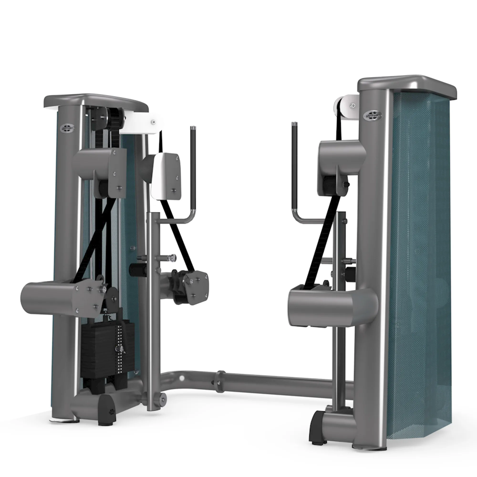 Brug gym80 Sygnum Dual Pull And Push Machine til en forbedret oplevelse