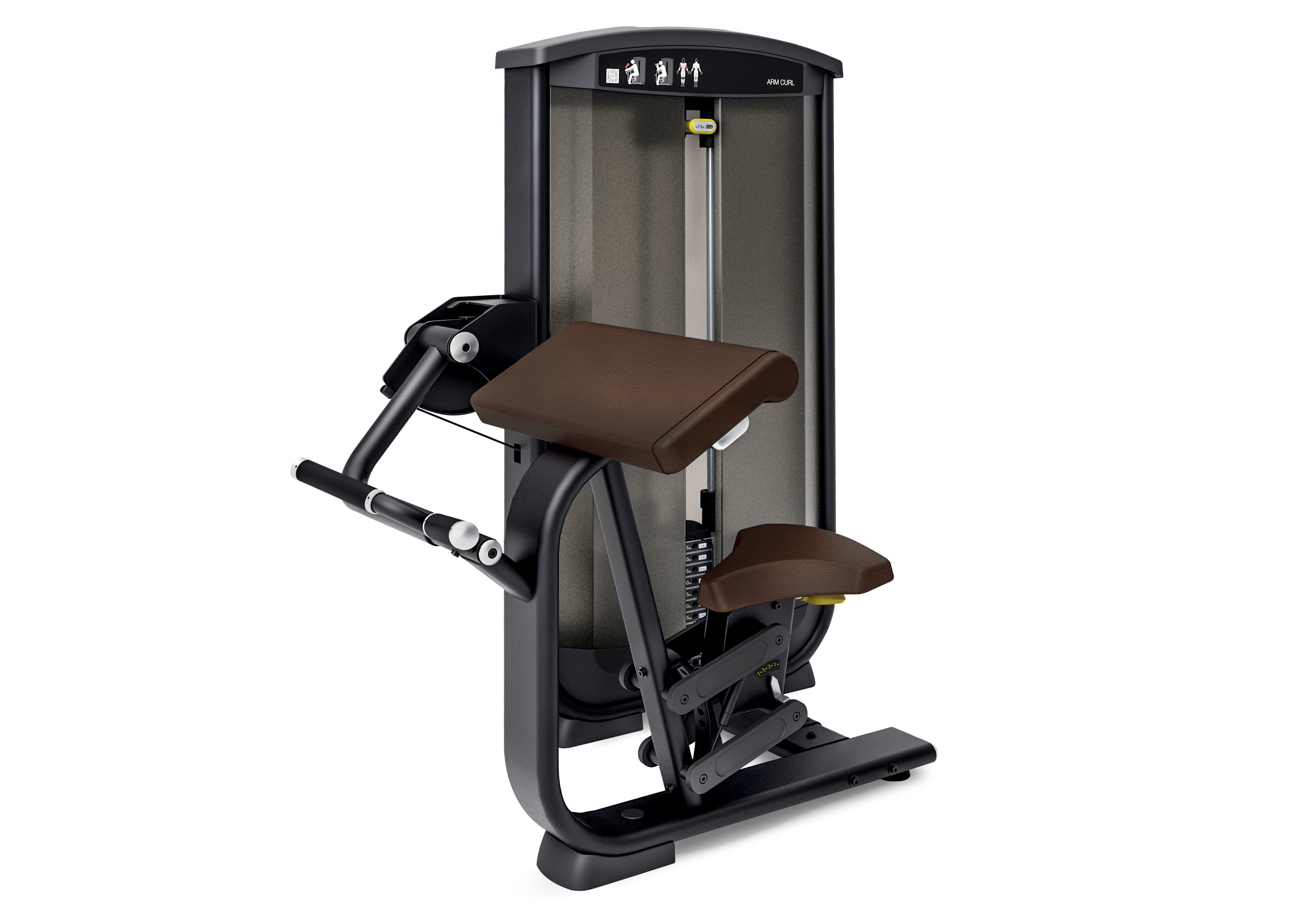 Intenza Ease Line Biceps/Arm Curl (vægtstak: 68 kg)