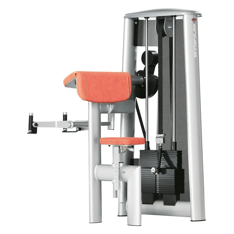 Brug gym80 Sygnum Biceps Curl til en forbedret oplevelse