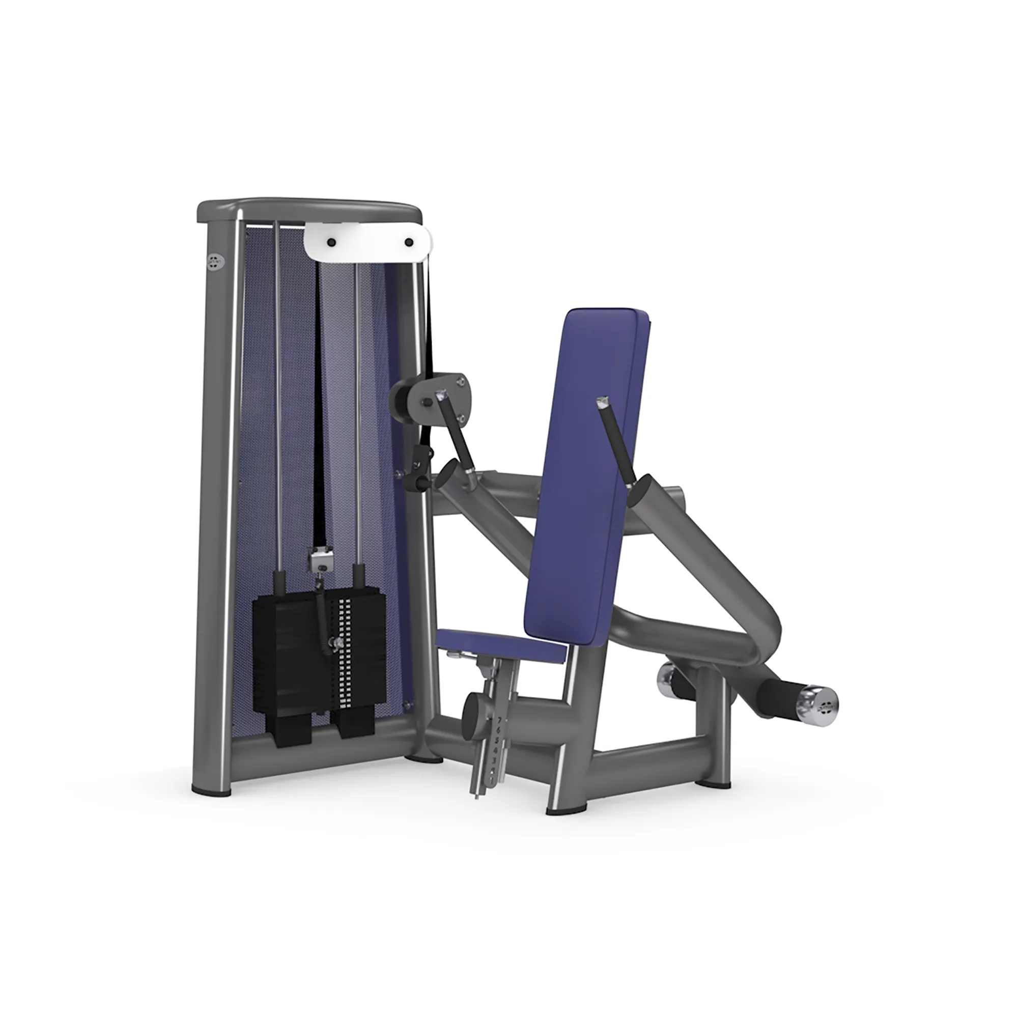 Brug gym80 Sygnum Dip Machine til en forbedret oplevelse
