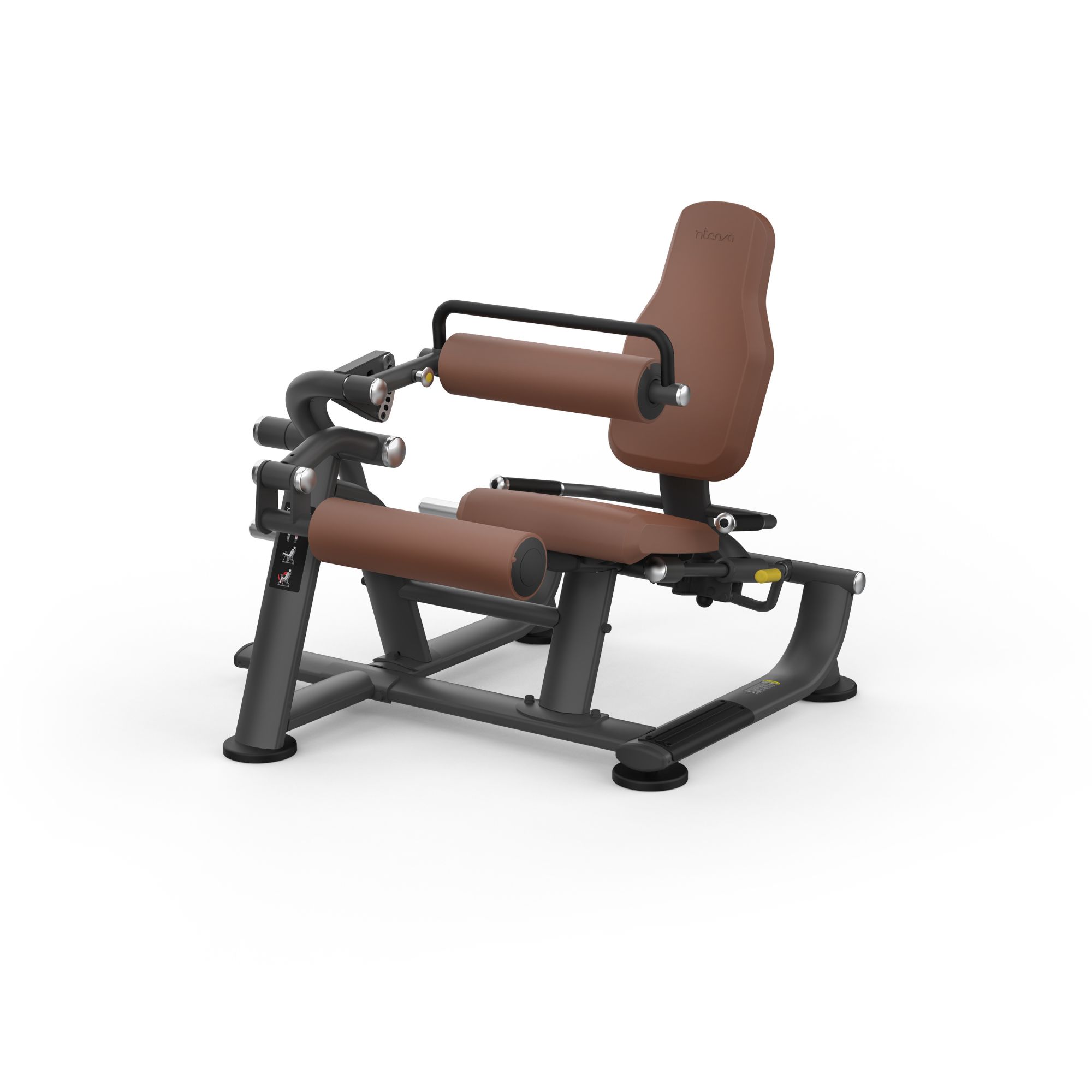 Intenza Zone Line Seated Leg Curl