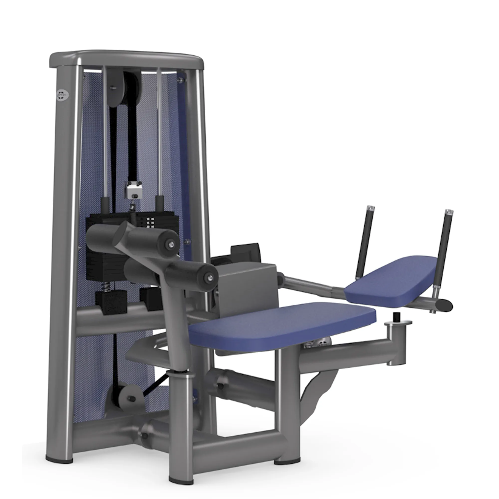 Brug gym80 Sygnum Abdominal Crunch Machine til en forbedret oplevelse