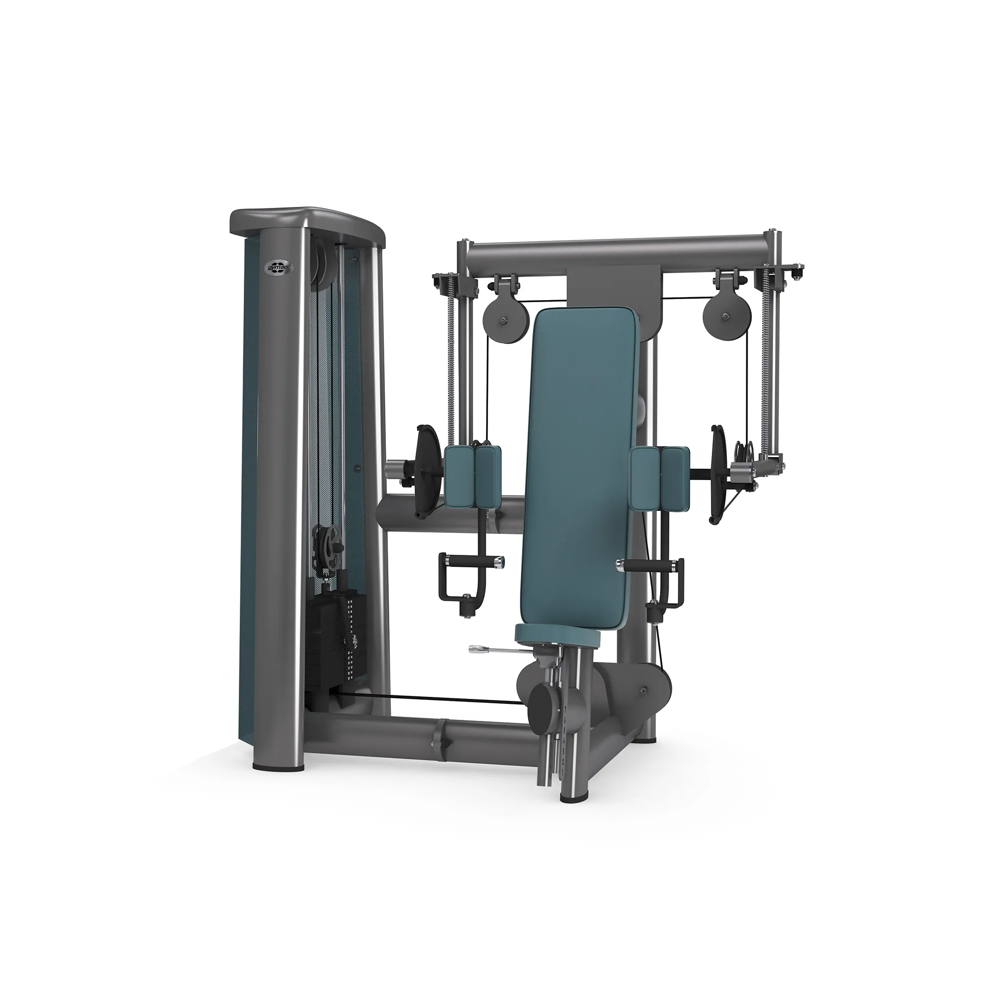 Brug gym80 Sygnum Dual Curler Machine til en forbedret oplevelse