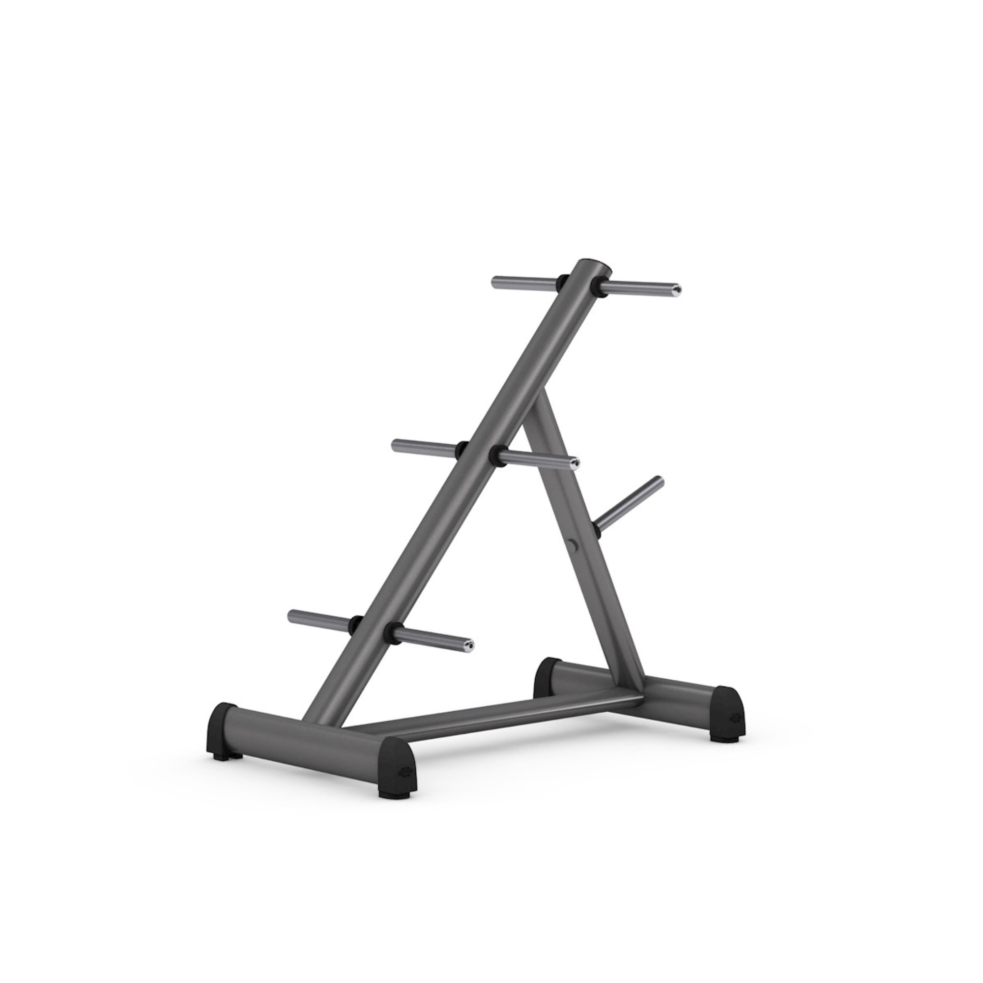 gym80 Disc Stand 45°