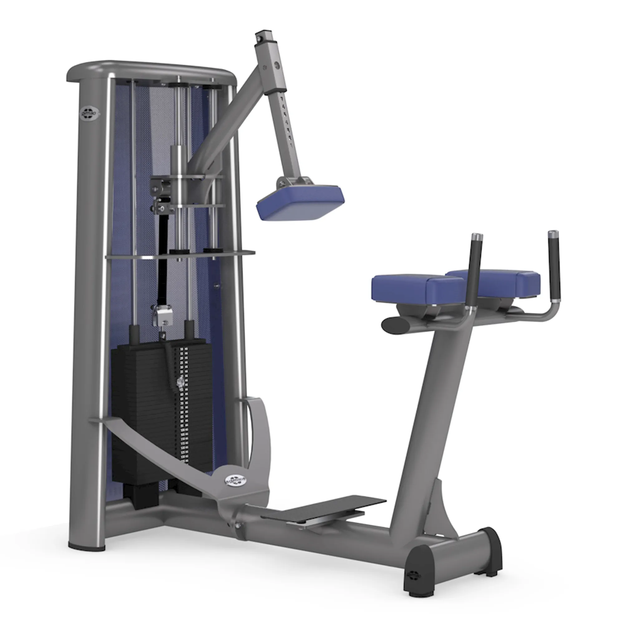 Brug gym80 Sygnum Donkey Calf Raise til en forbedret oplevelse