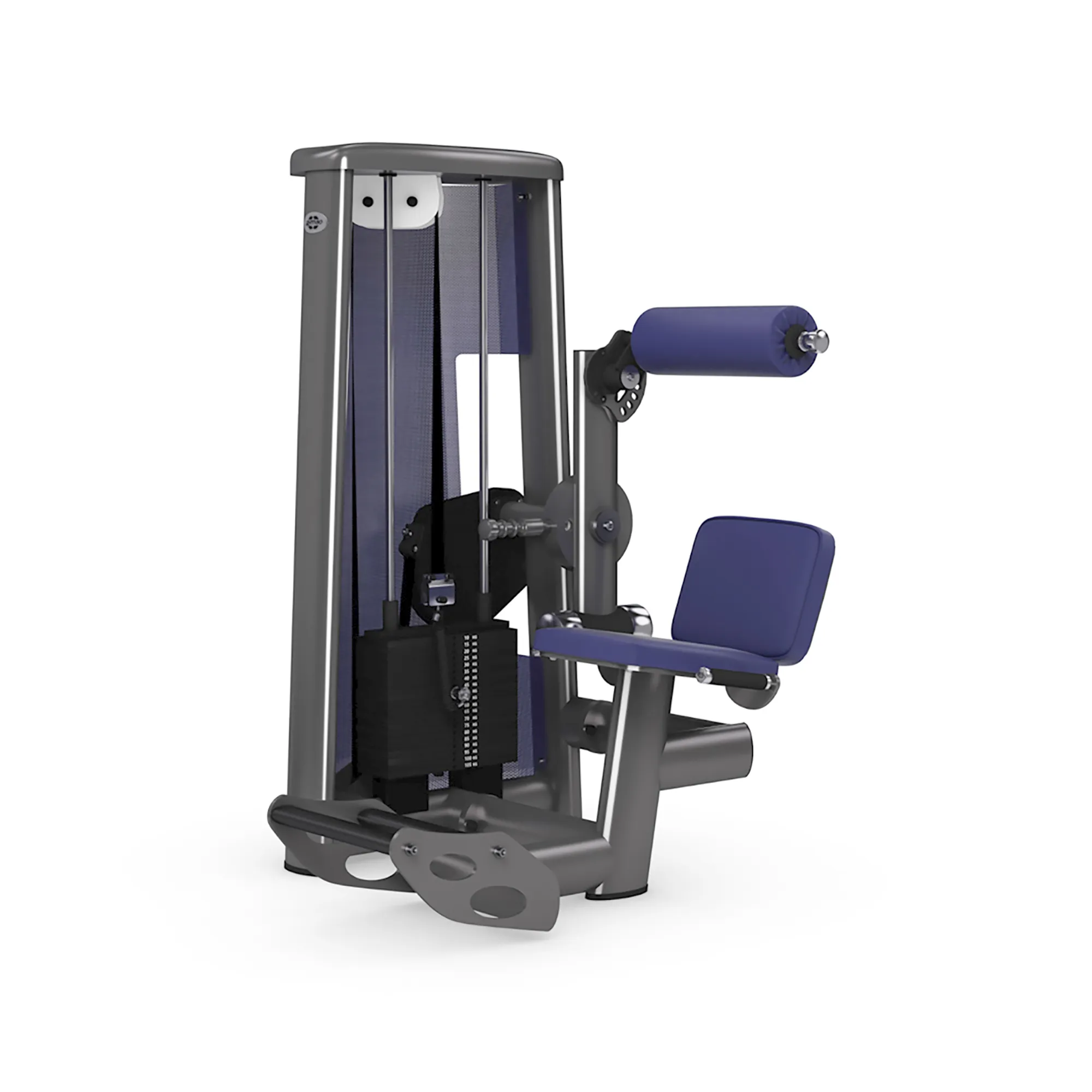 Brug gym80 Sygnum Lower Back Machine til en forbedret oplevelse