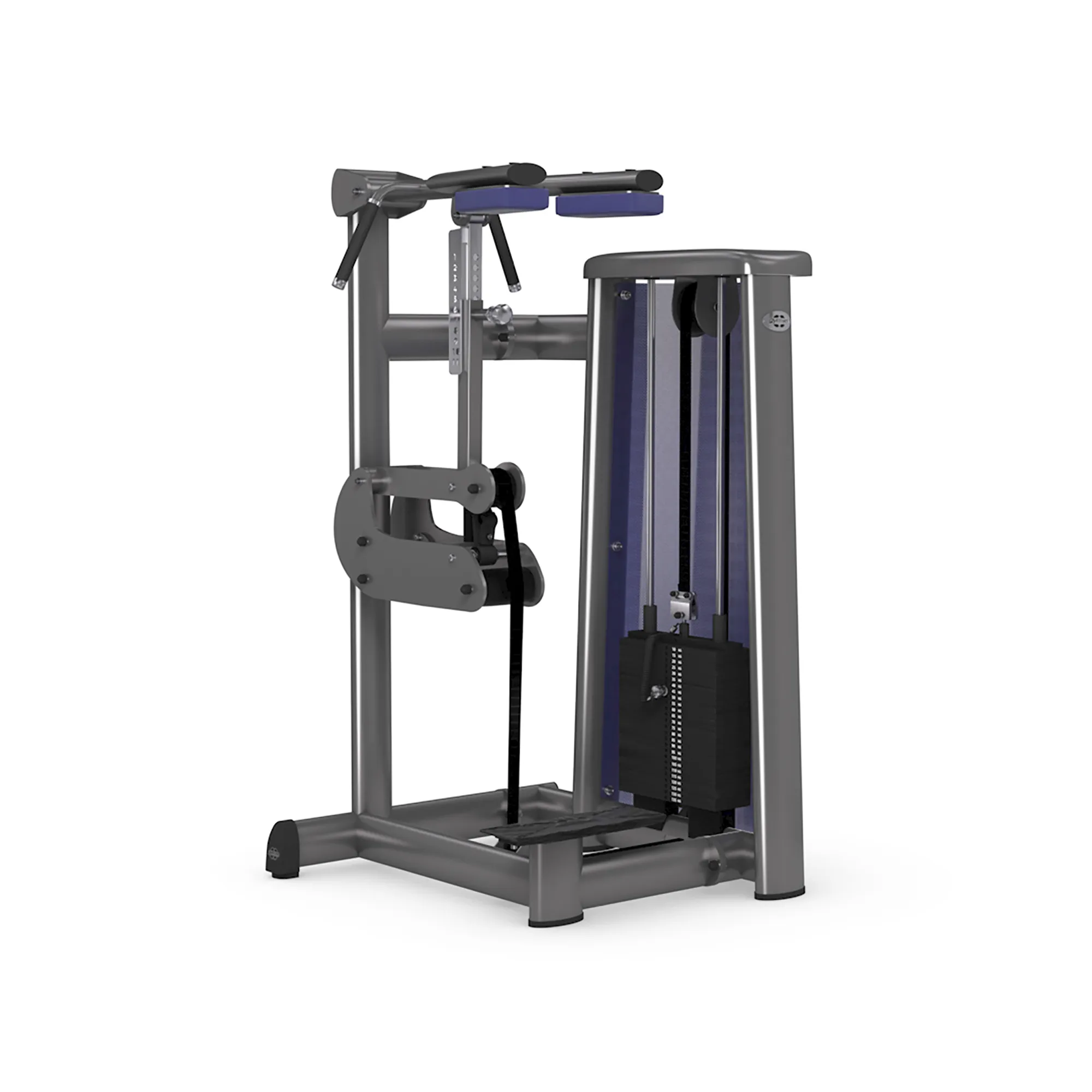 Brug gym80 Sygnum Standing Calf til en forbedret oplevelse