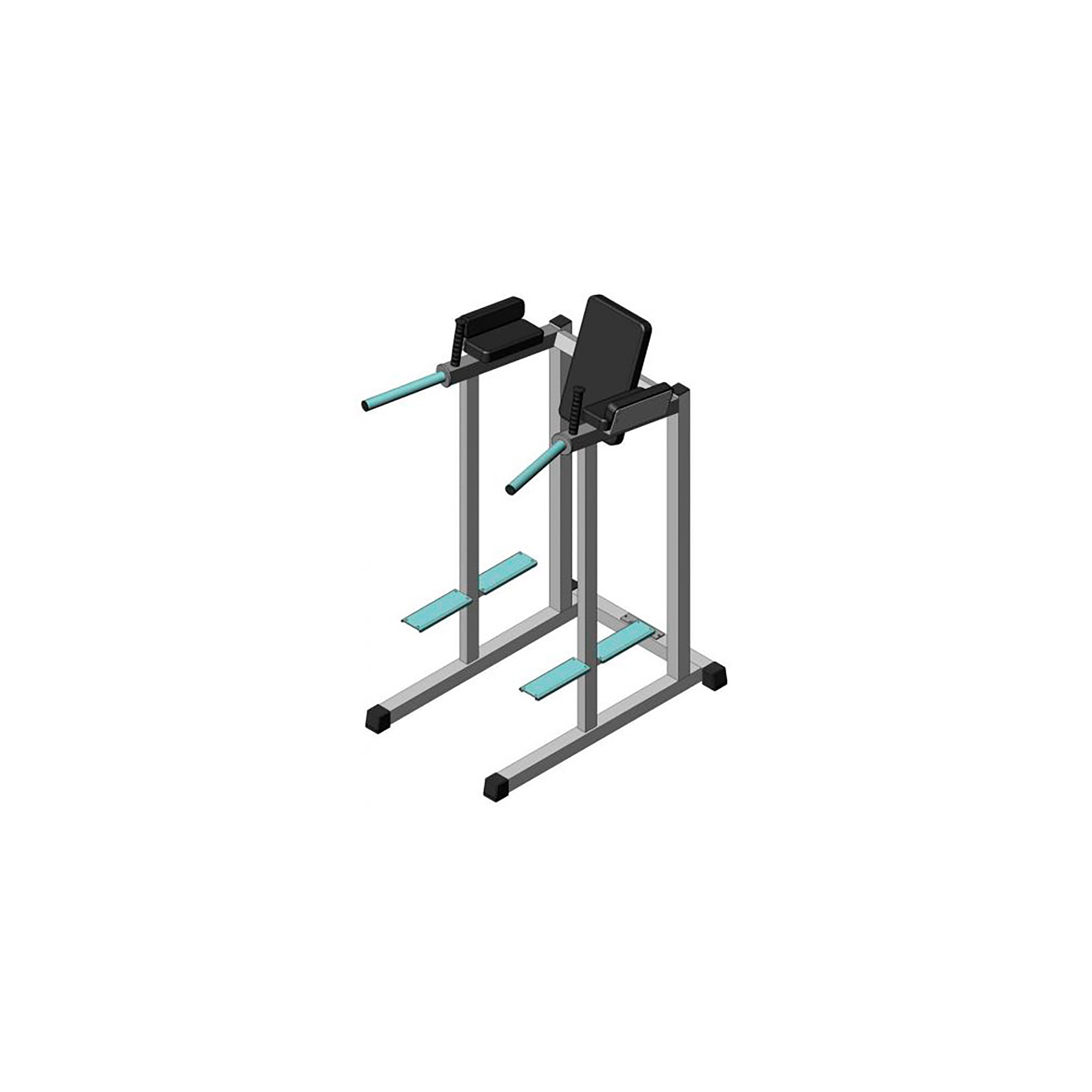 Inter Atletika Boltet Dips/Leg Raise station sort 165,7 cm