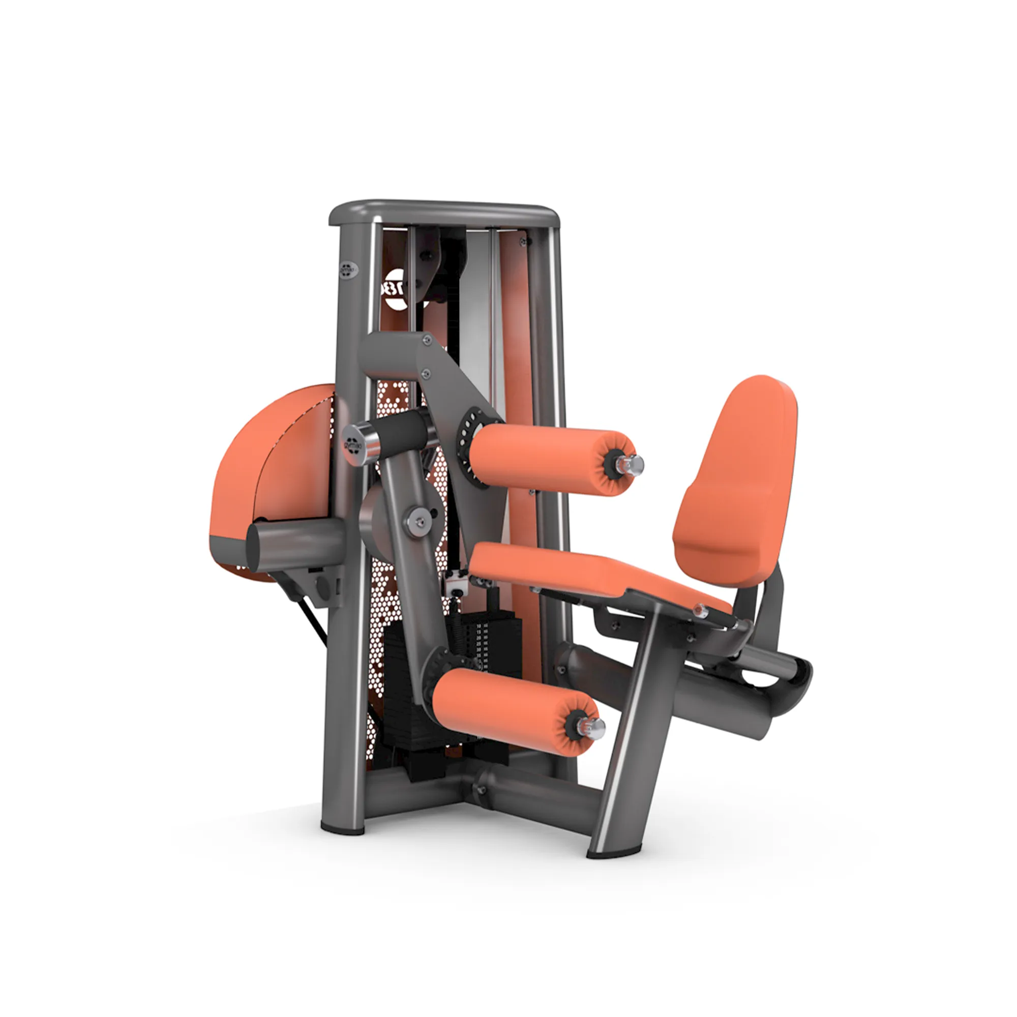 Brug gym80 Sygnum Combo Leg Extension And Leg Curl til en forbedret oplevelse