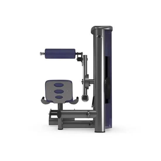 gym80 Sygnum Lower Back Machine fra gym80 gym80 Sygnum Lower Back Machine fra gym80