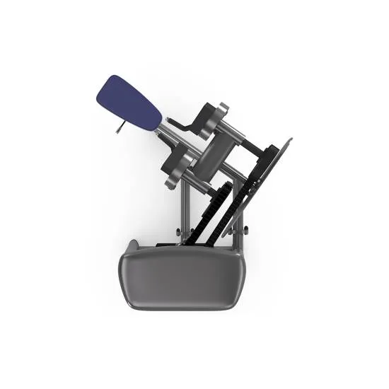 gym80 Sygnum Shoulder Lateral Raise With Grips fra gym80 gym80 Sygnum Shoulder Lateral Raise With Grips fra gym80