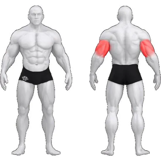 gym80 Sygnum Triceps Extension fra gym80 gym80 Sygnum Triceps Extension fra gym80