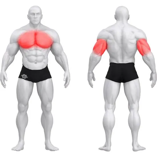 gym80 Sygnum Dual Incline Bench Press fra gym80 gym80 Sygnum Dual Incline Bench Press fra gym80