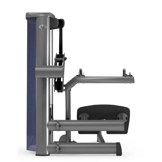 gym80 Sygnum No Support Seated Row fra gym80 gym80 Sygnum No Support Seated Row fra gym80