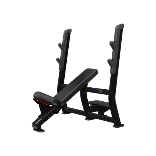 Nautilus Inspiration Olympisk Incl. Bench Sort fra Nautilus Nautilus Inspiration Olympisk Incl. Bench Sort fra Nautilus