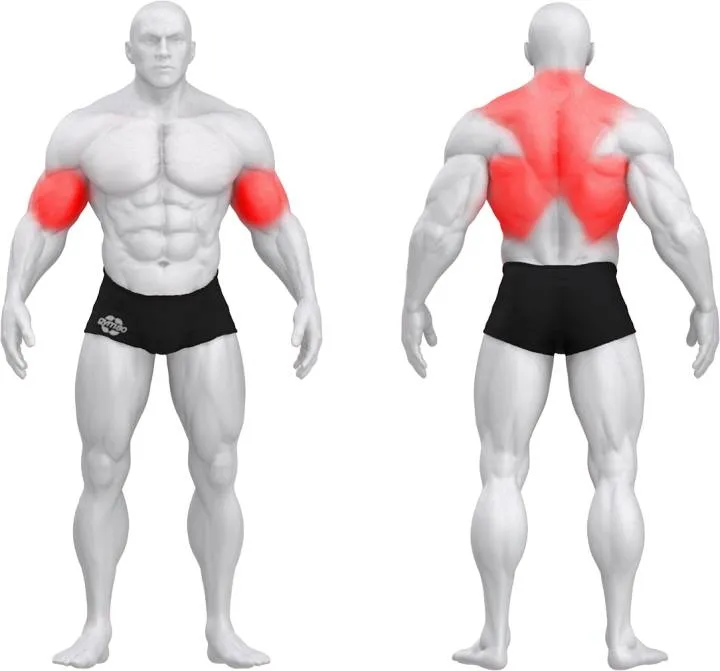 gym80 Pure Kraft Bent Over Row fra gym80