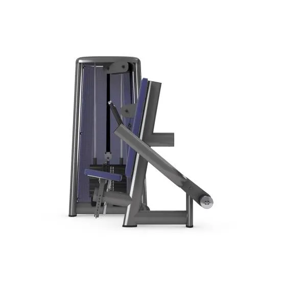 gym80 Sygnum Dip Machine fra gym80 gym80 Sygnum Dip Machine fra gym80