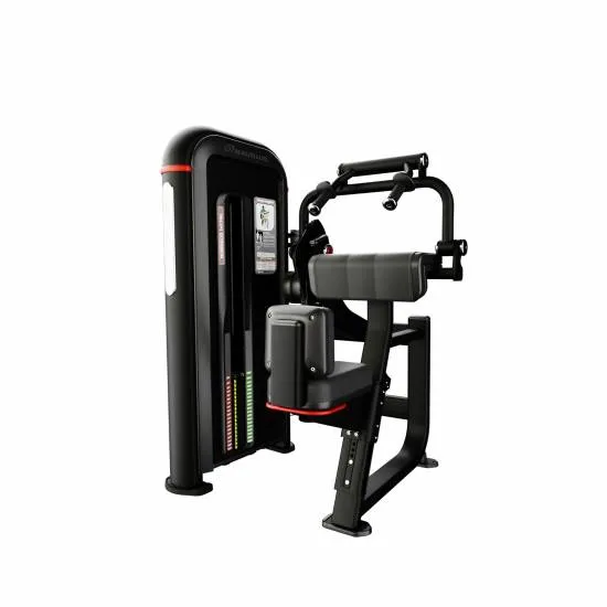 Nautilus Inspiration Tricep Dip fra Nautilus Nautilus Inspiration Tricep Dip fra Nautilus