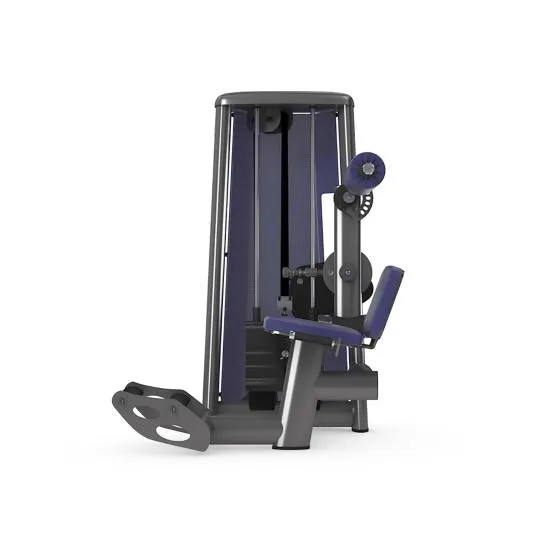 gym80 Sygnum Lower Back Machine fra gym80 gym80 Sygnum Lower Back Machine fra gym80