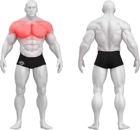 gym80 Pure Kraft Dual Chest Crossover fra gym80 gym80 Pure Kraft Dual Chest Crossover fra gym80