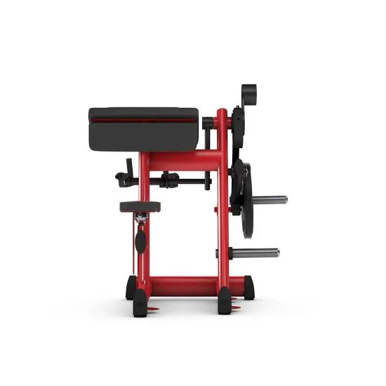 gym80 Pure Kraft Biceps Curl fra gym80 gym80 Pure Kraft Biceps Curl fra gym80