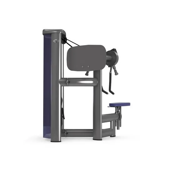 gym80 Sygnum Shoulder Lateral Raise With Grips fra gym80 gym80 Sygnum Shoulder Lateral Raise With Grips fra gym80