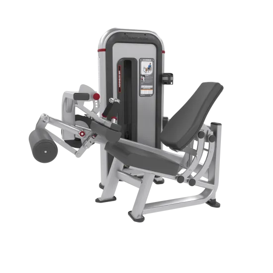 Nautilus Inspiration Leg Curl Sølv fra Nautilus Nautilus Inspiration Leg Curl Sølv fra Nautilus