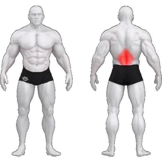 gym80 Sygnum Lower Back Machine w/Adj. Footplate fra gym80 gym80 Sygnum Lower Back Machine w/Adj. Footplate fra gym80