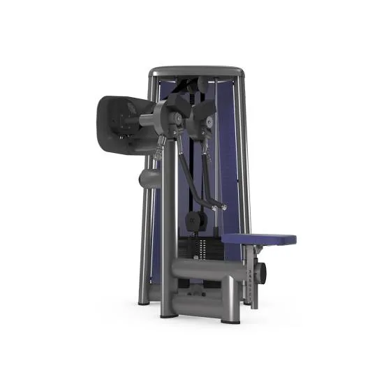 gym80 Sygnum Shoulder Lateral Raise With Grips fra gym80 gym80 Sygnum Shoulder Lateral Raise With Grips fra gym80