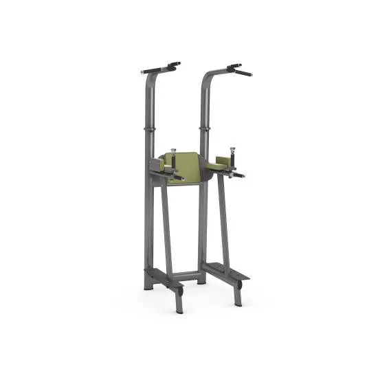 gym80 Pull-Up/Dip/Leg Raise gym80 Pull-Up/Dip/Leg Raise