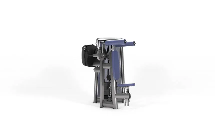 gym80 Sygnum Iso Lat