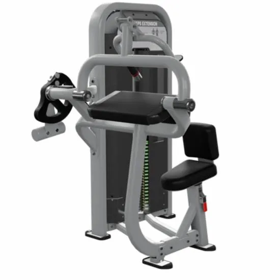 Nautilus Impact Tricep Extension Sølv fra Nautilus Nautilus Impact Tricep Extension Sølv fra Nautilus