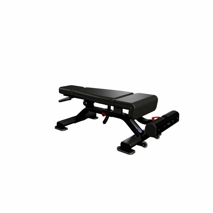 Nautilus Inspiration Adjustable Decline Bench