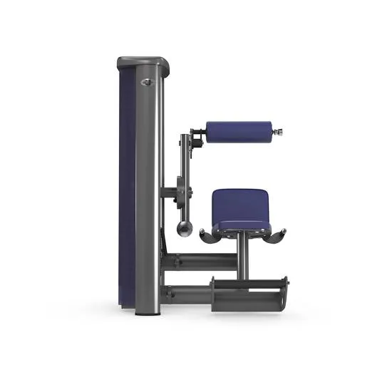 gym80 Sygnum Lower Back Machine fra gym80 gym80 Sygnum Lower Back Machine fra gym80