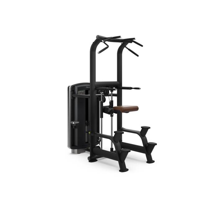 Intenza Dezign Line Assisted Chin Dip