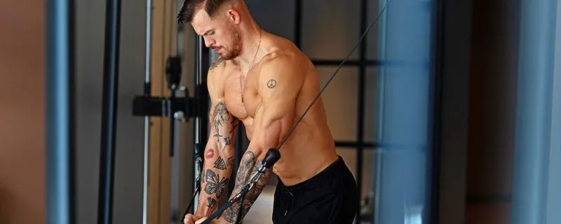 Byg en større brystkasse end Emil Ryberg Byg en større brystkasse end Emil Ryberg