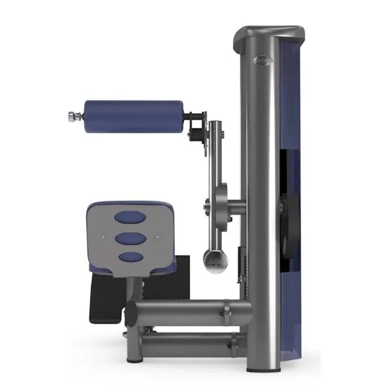 gym80 Sygnum Lower Back Machine w/Adj. Footplate fra gym80 gym80 Sygnum Lower Back Machine w/Adj. Footplate fra gym80