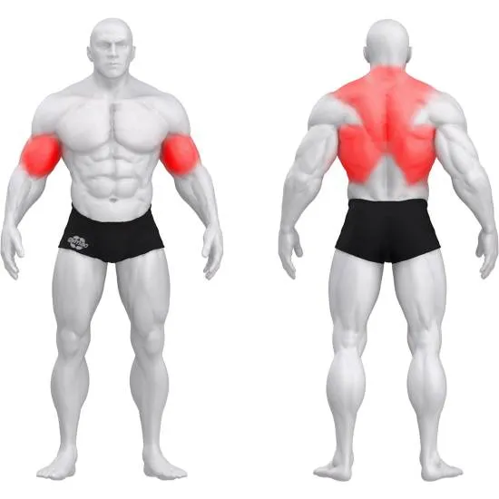 gym80 Sygnum No Support Seated Row fra gym80 gym80 Sygnum No Support Seated Row fra gym80