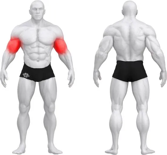gym80 Pure Kraft Dual Biceps Curl fra gym80 gym80 Pure Kraft Dual Biceps Curl fra gym80